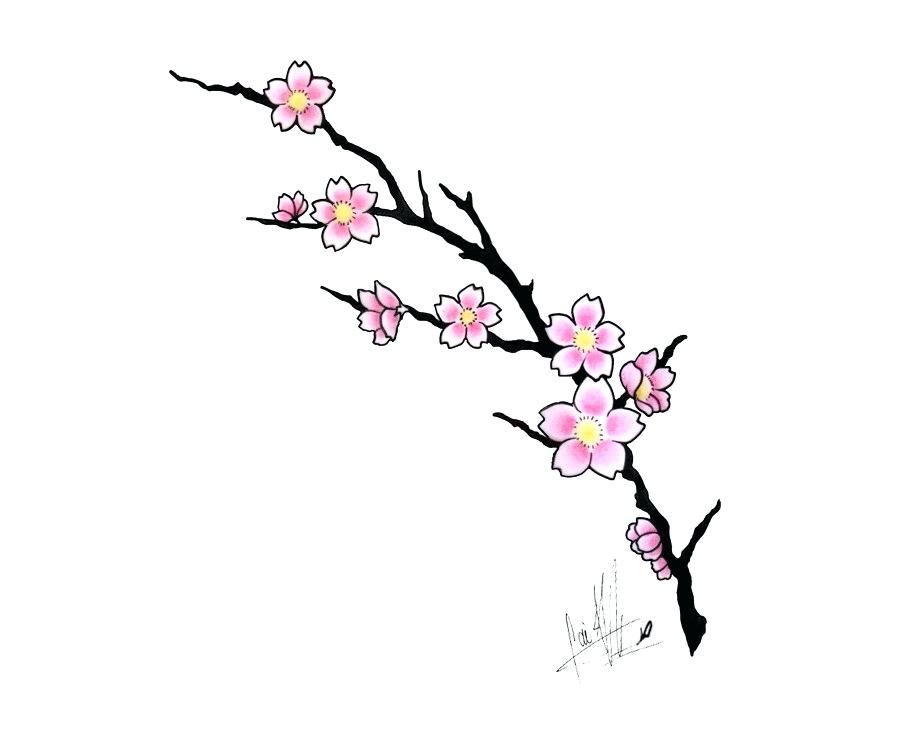 900x740 Cherry Blossoms Drawing Japan Cherry Blossom Drawing Sticker Hand