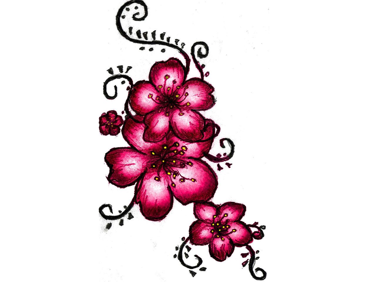 1280x960 Pics For Gt Japanese Cherry Blossom Drawing Tattoo A Good Thread