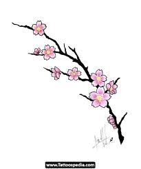 205x246 Pics Of Japanese Cherry Blossom Stensils