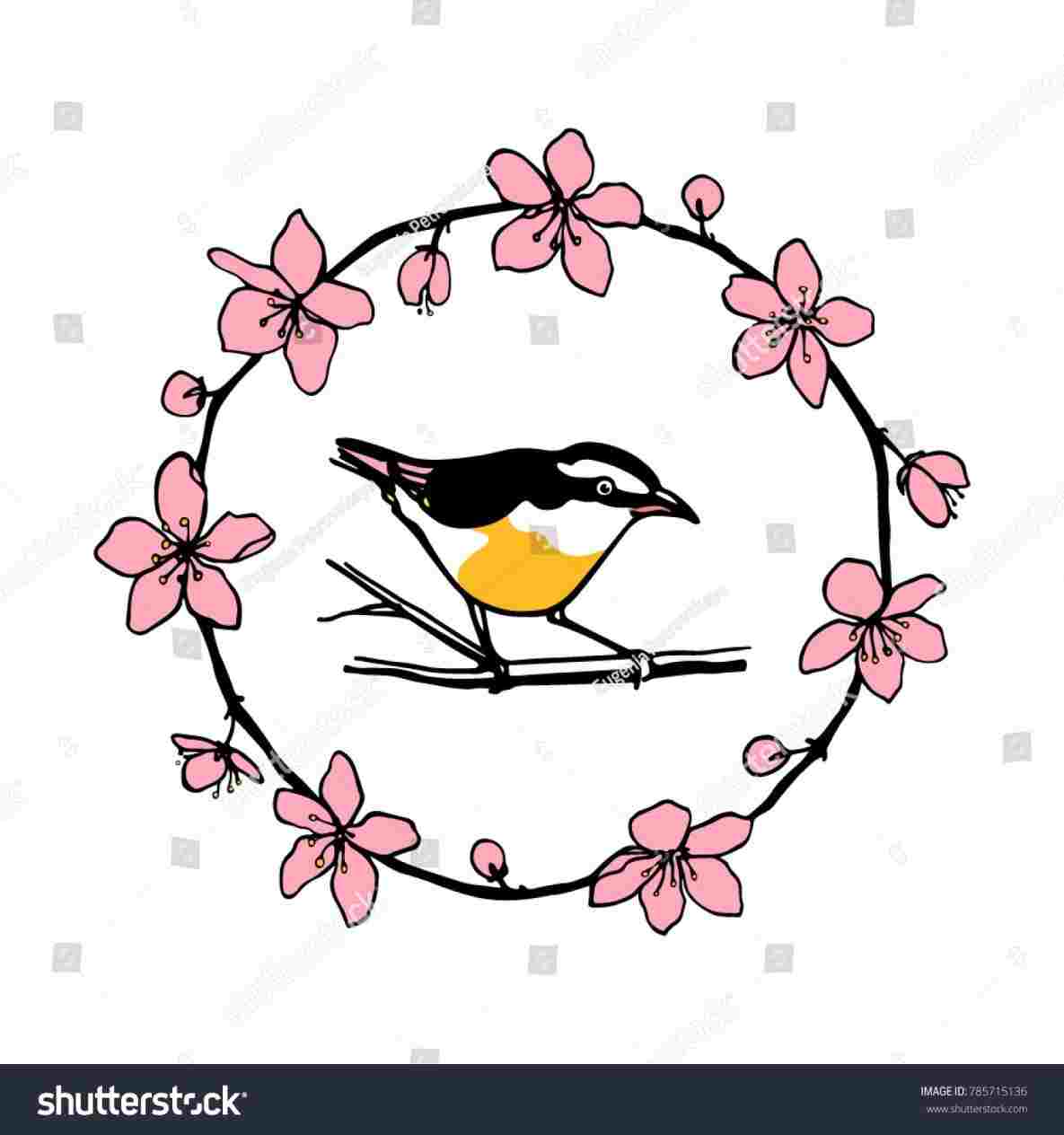 1185x1264 Rhcom Japanese Cherry Blossom Small Flower Drawings