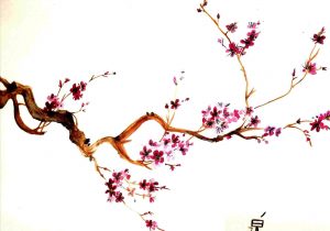 300x210 best rhcom afficher luimage duorigine japon x le pays de