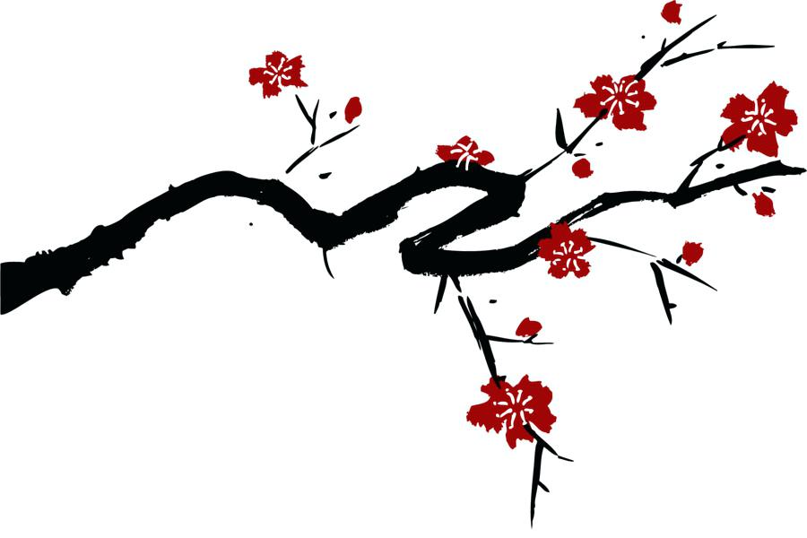 900x600 Cherry Blossom Drawing Oakeydoak