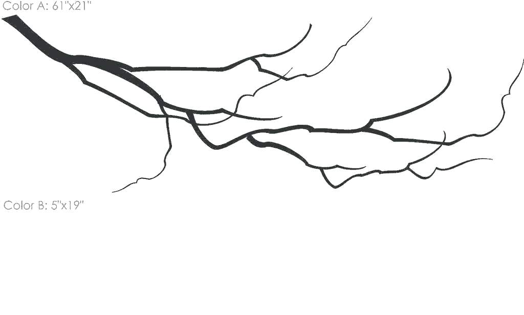 1024x616 Cherry Blossom Coloring Pages Cherry Blossom Coloring