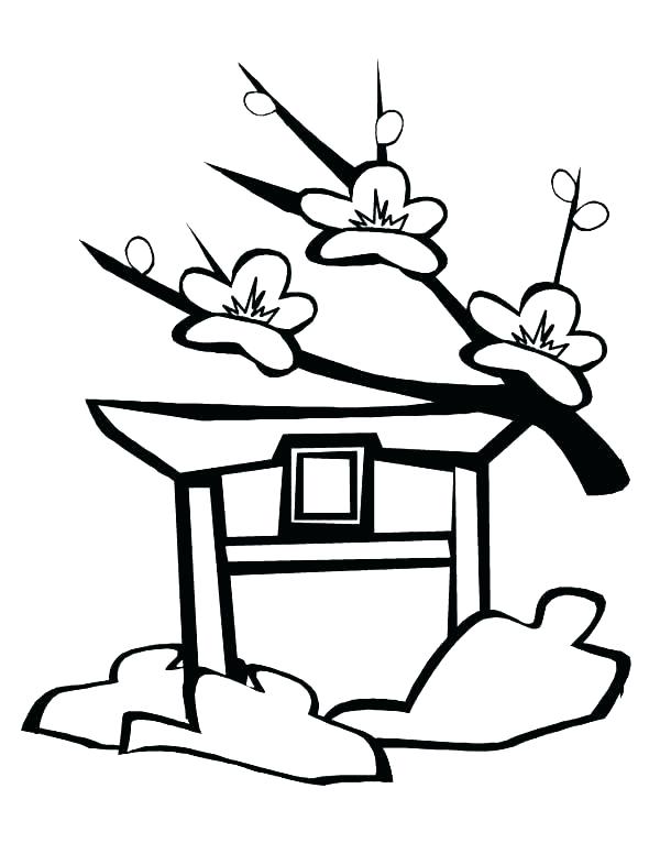 600x776 Cherry Blossom Coloring Pages Cherry Coloring Sheets Collection