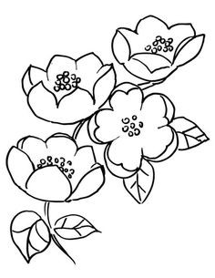 236x305 Japanese Cherry Tree Coloring Pages New Best Cherry Blossom