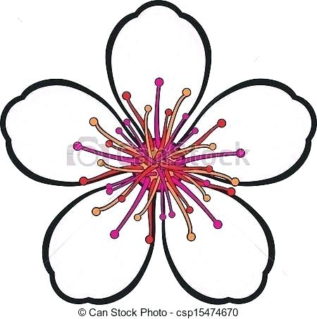 450x453 Drawings Of Japanese Cherry Blossoms Branch Of Cherry Blossoms