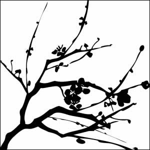 300x300 Japanese Cherry Tree Silhouette