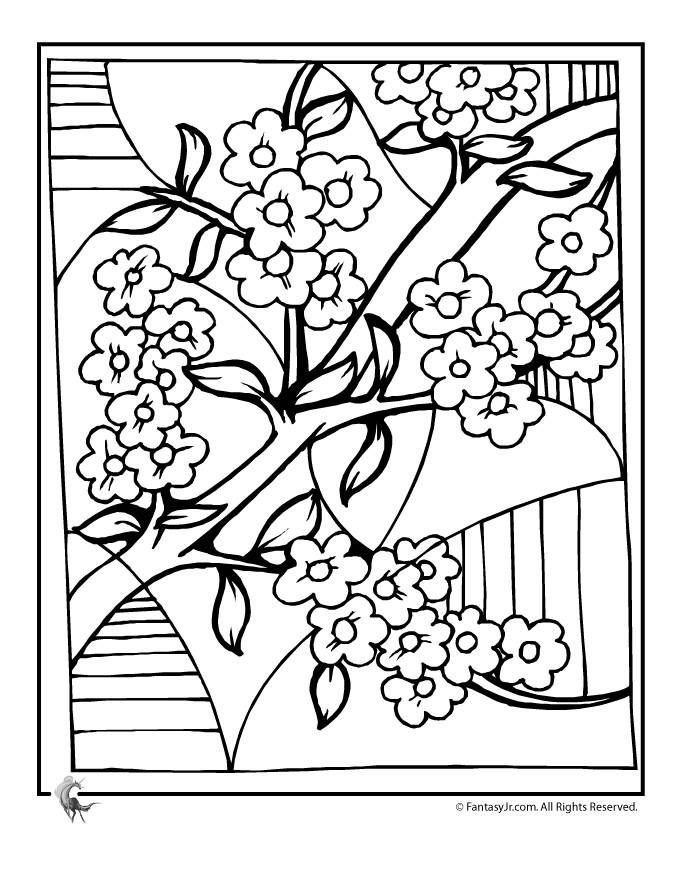 680x880 Japanese Cherry Blossom Coloring Sheets Awesome Cherry Blossom