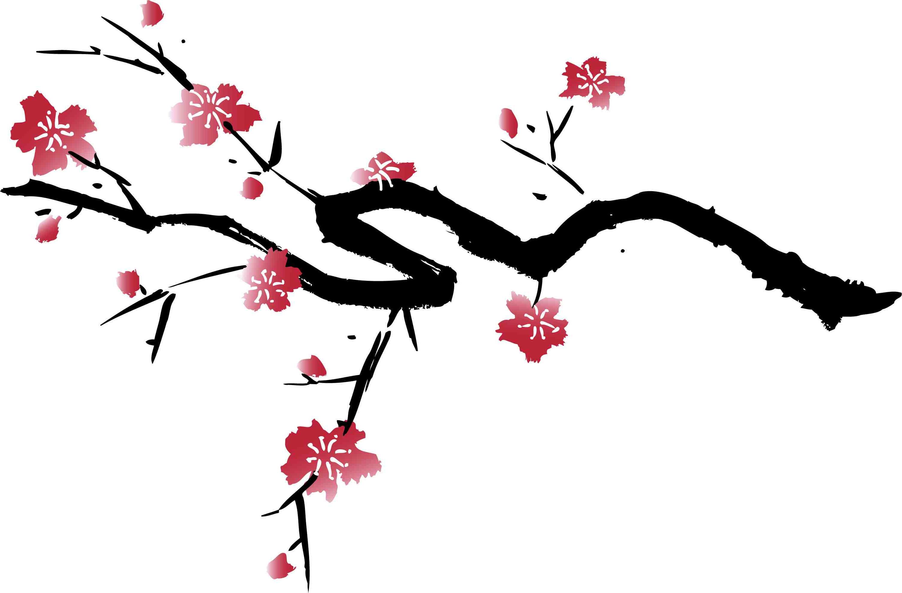 3017x1985 Japanese Cherry Blossom Tree Silhouette