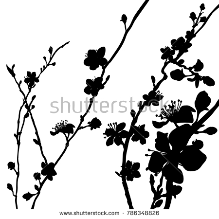 450x450 Japanese Cherry Tree Silhouette