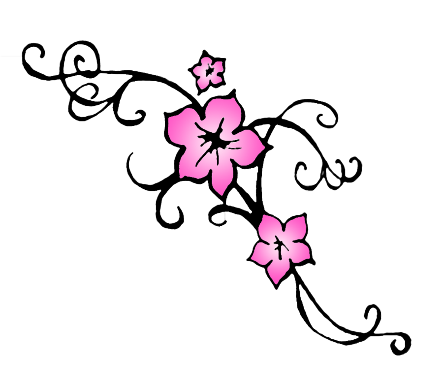 900x787 Vector Outline Cherry Blossom Transparent Png Clipart Free