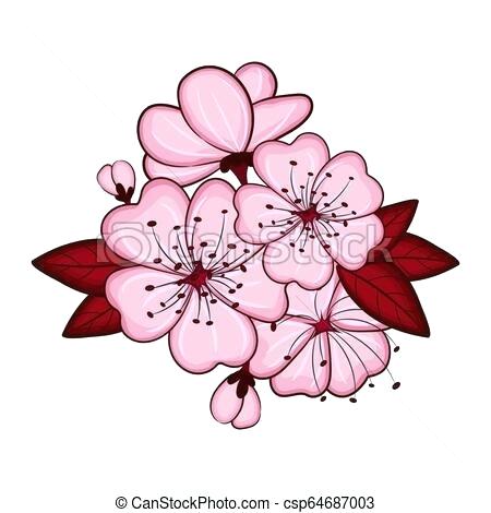 450x470 Cherry Blossom Flower Drawing Zupa