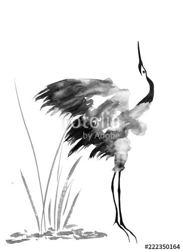 363x500 Japanese Crane Bird Drawing Watercolor And Ink Illustration