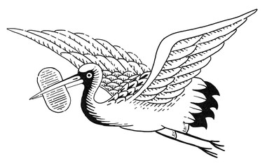 381x240 Search Photos Japanese Crane