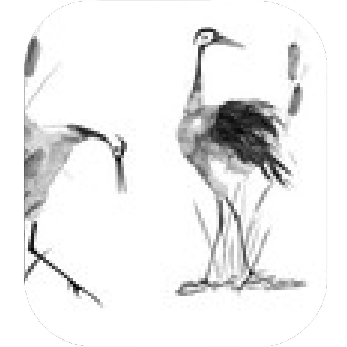 1200x1200 Designs Mein Mousepad Design Mousepad Selbst Designen