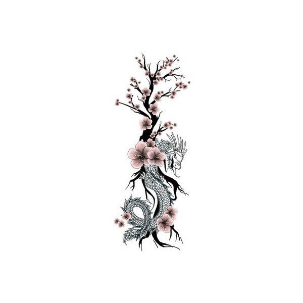 600x600 Japanese Dragon Flower Tattoo Cherry Blossom Liked On Polyvore