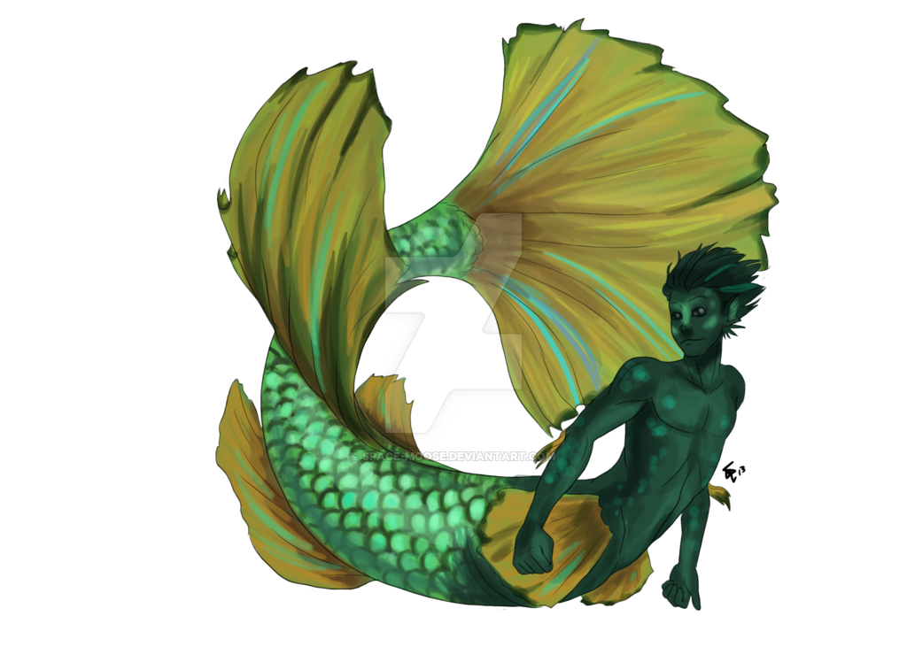 1024x731 Collection Of Free Mermaid Transparent Betta Fish Download On Ui Ex