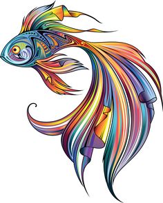 236x295 Common Betta Fish Diseases Draw Fish Coloring Page, Fish