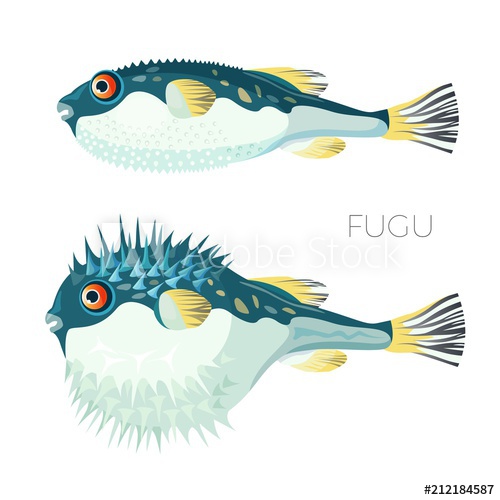 500x500 Fugu Fish Japanese Puffer Fish Vector Sketch Drawing