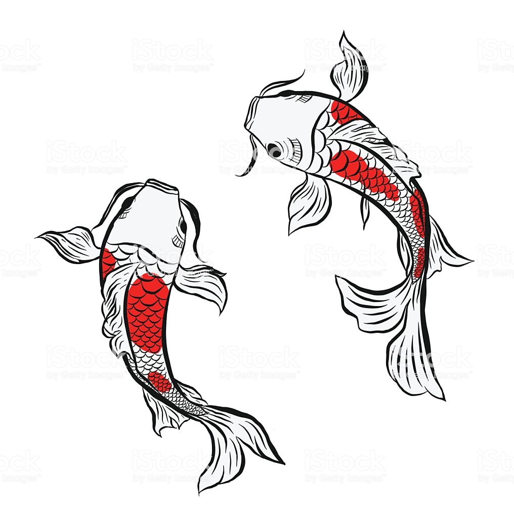 1016x1024 Huge Collection Of 'koi Clipart' Download More Than Images