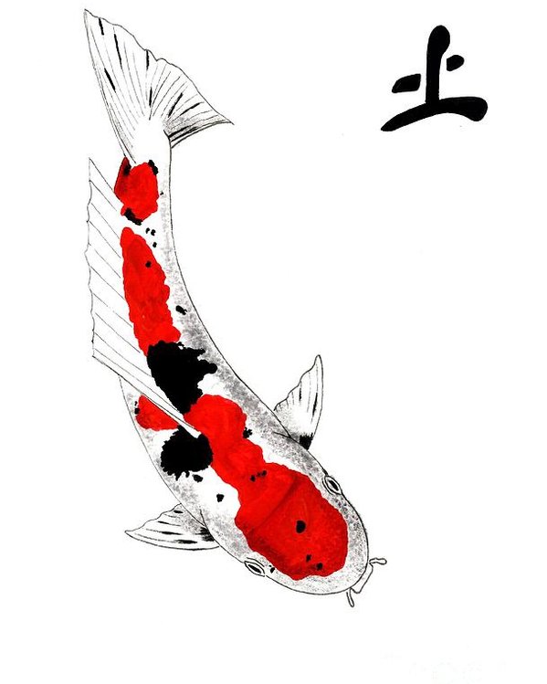 599x749 Japanese Koi Sanke Feng Shui Earth Poster