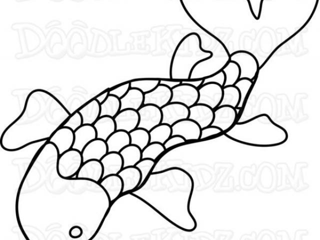 640x480 Koi Fish Clipart Japanese