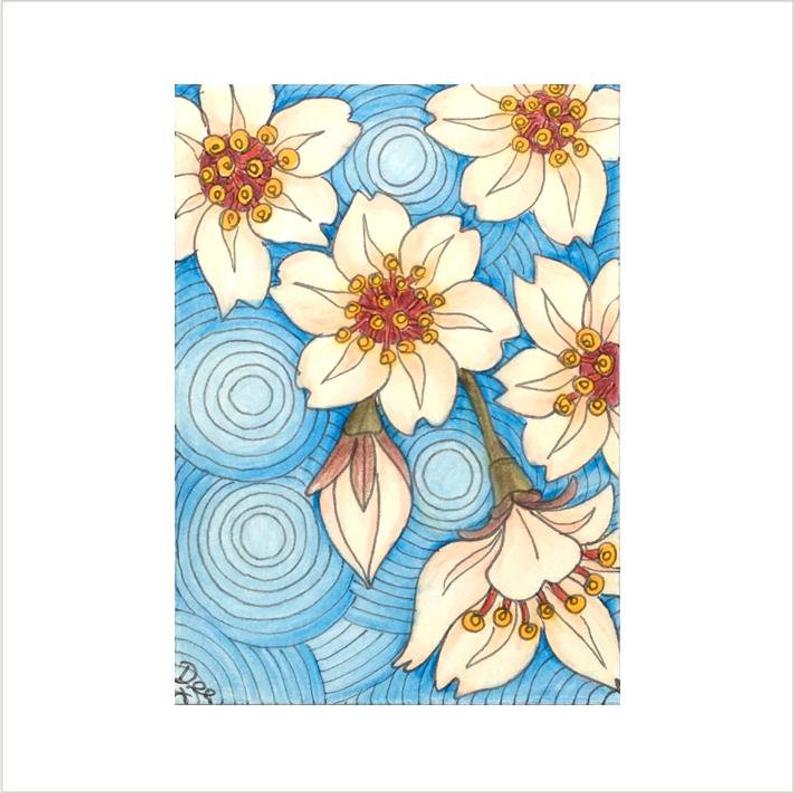 794x793 Pink Cherry Blossom Art Japanese Blossom Original Atc Pink Etsy