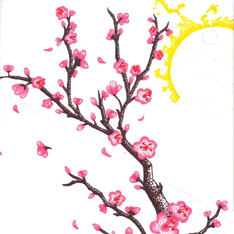 894x894 Huge Collection Of 'sakura Flowers Drawing' Download More Than
