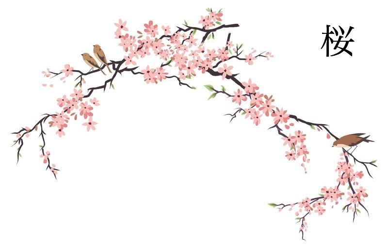 800x514 Tale Of Genji Art Cherry Blossom Drawing, Cherry Blossom Tree