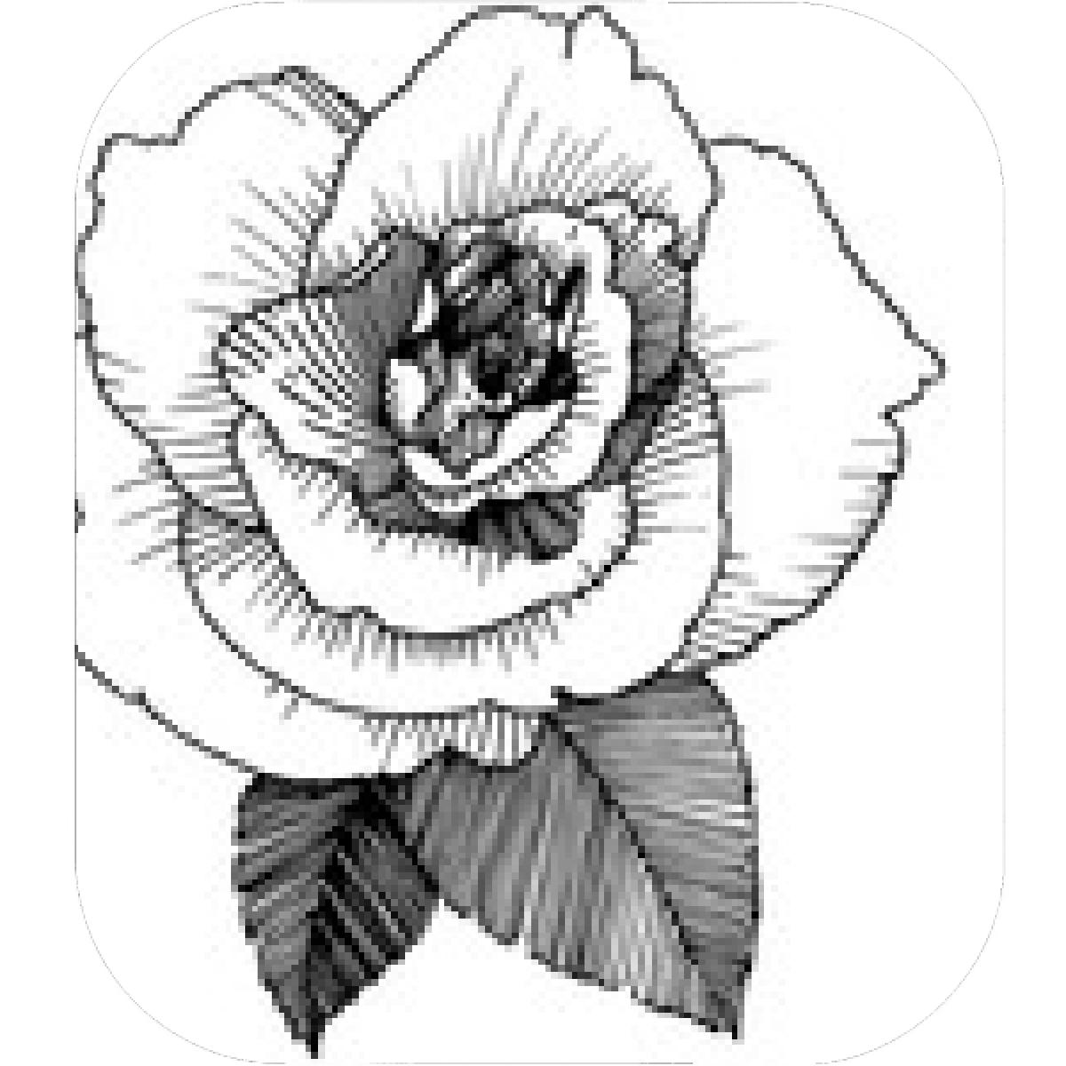 1200x1200 Designs Mein Mousepad Design Mousepad Selbst Designen