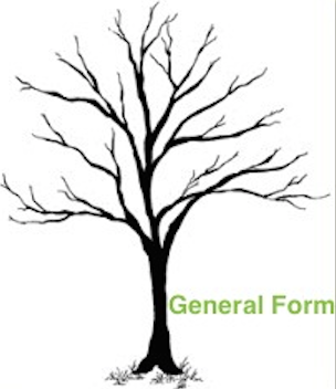 304x352 Radiant Mendocino Maples Nursery