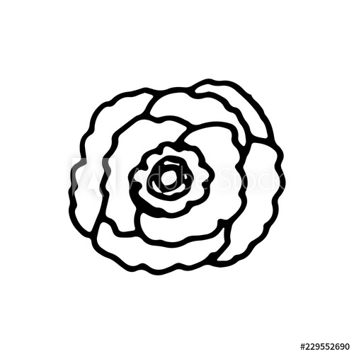 500x500 Botanical Flower Garden Element Icon Hand Drawing Isolated Object