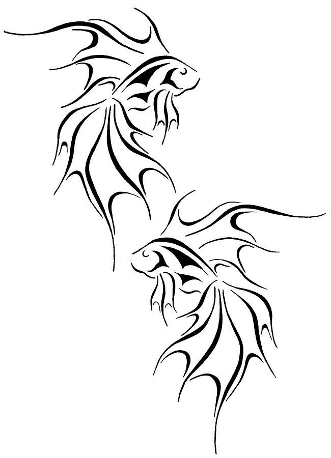 650x900 Fantasy Goldfish Drawing