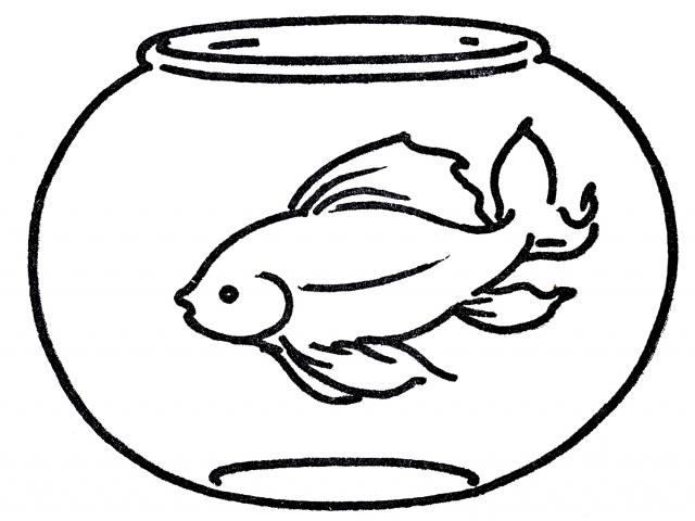 640x480 Free Drawn Goldfish, Download Free Clip Art