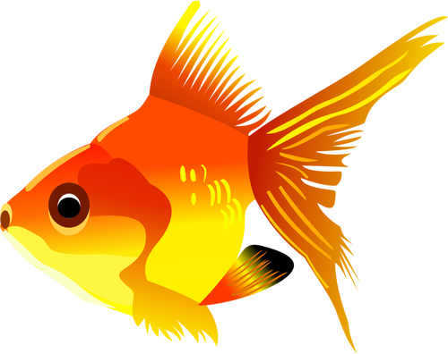 500x396 Goldfish Vector Drawing