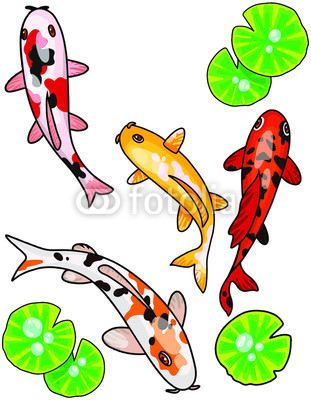 311x400 Hand Drawn Cartoony Koi Fish Vector Illustration Japanese Carp