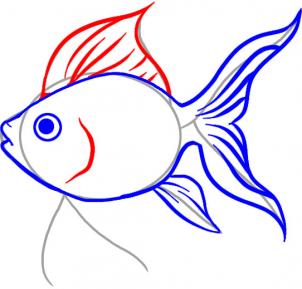 302x289 How To Draw A Goldfish, Step