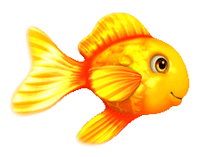 224x176 Collection Of Free Goldfish Drawing Gold Fish Download On Ui Ex