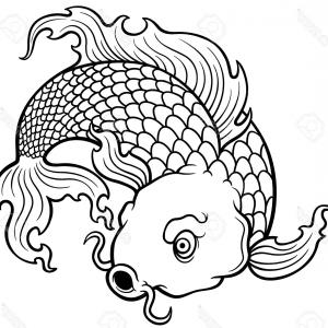 300x300 Royalty Free Stock Photos Japanese Koi Fish Vector Image Shopatcloth