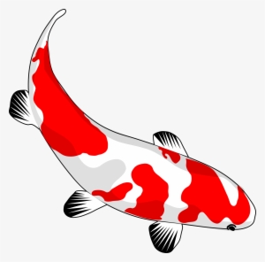 300x296 Koi Fish Png Images Png Cliparts Free Download On Seekpng