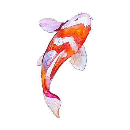 425x425 Watercolor Painted Japanese Koi Fish Full Color