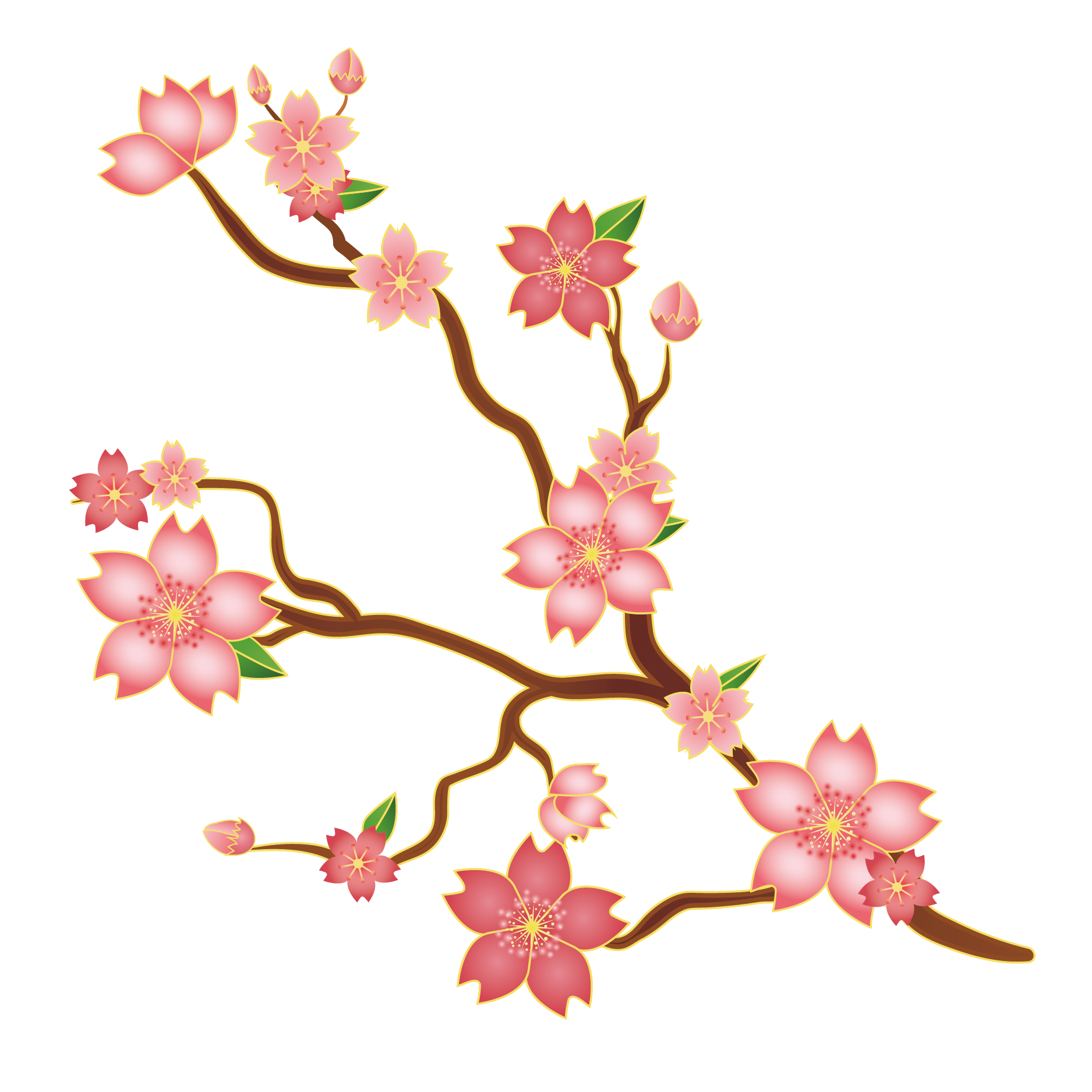 Japanese Lotus Drawing
