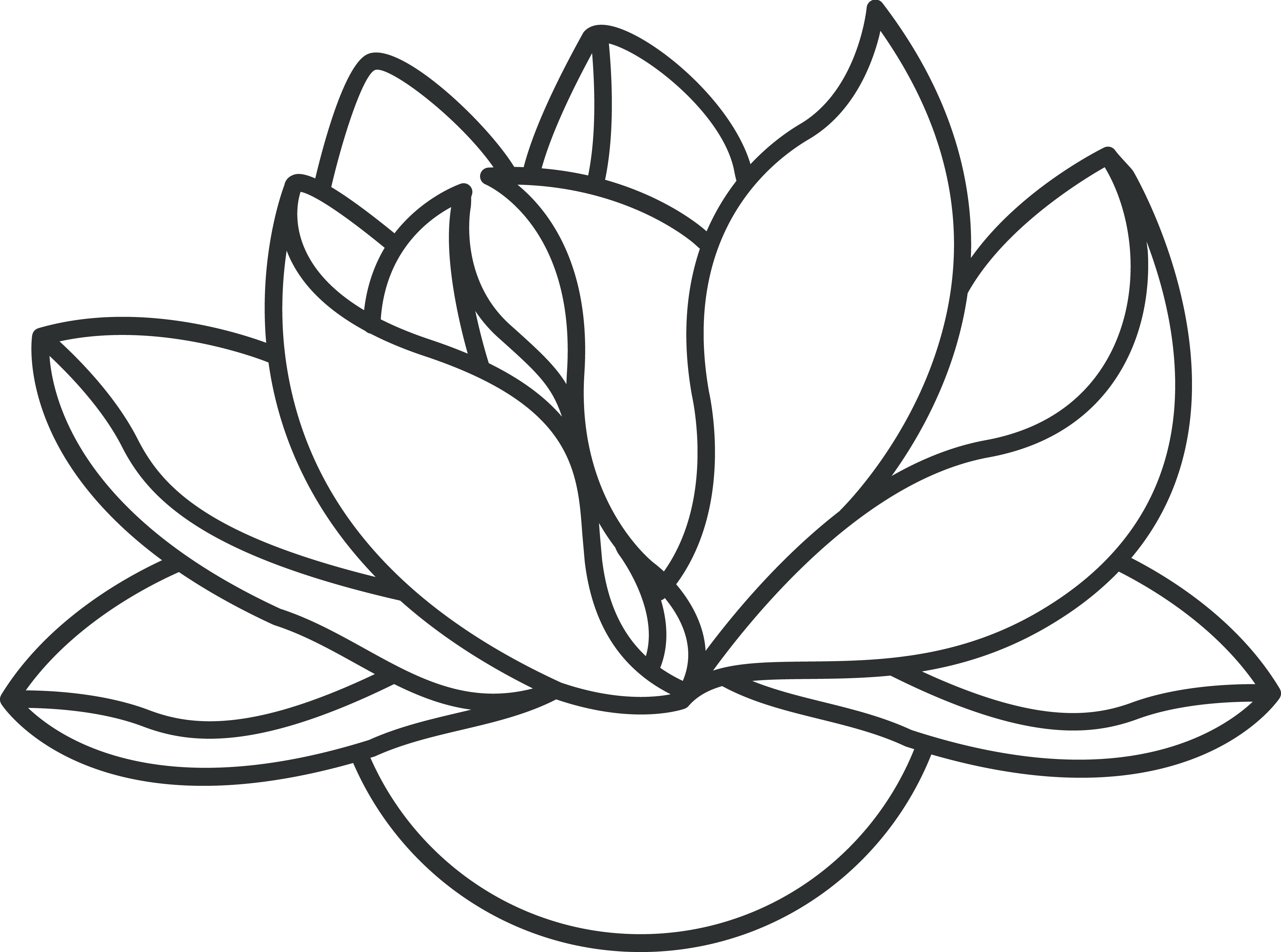 Japanese Lotus Flower Drawing