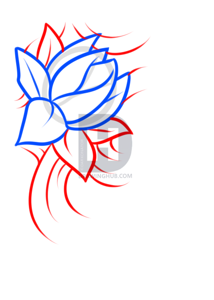 437x611 Japanese Tattoo Drawing Lesson, Step