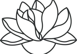 300x210 Lotus Flower Drawings Free Japanese Lotus Flower Outline Japanese