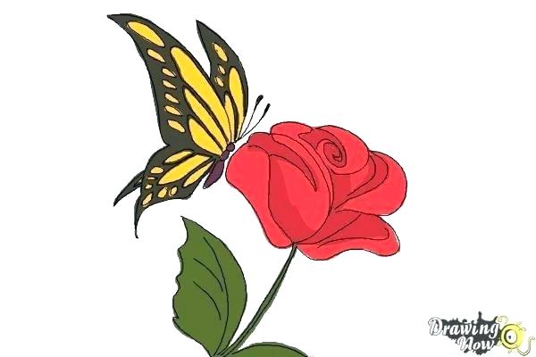 600x400 How To Draw Japanese Flowers Step