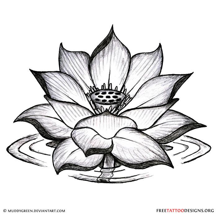 700x700 Black Lotus Tattoo Design Tattoos Lotus Flower Tattoo Design