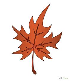 236x272 Top Maple Trees Images Maple Tree, Ideas For Drawing, Leaves