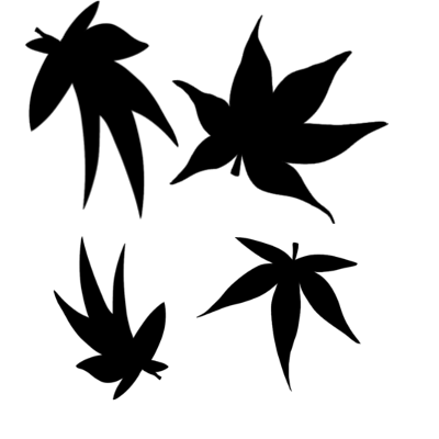 400x400 Japanese Maple Brush