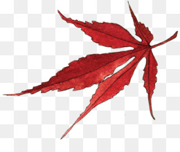 260x220 Japanese Maple Png Free Download